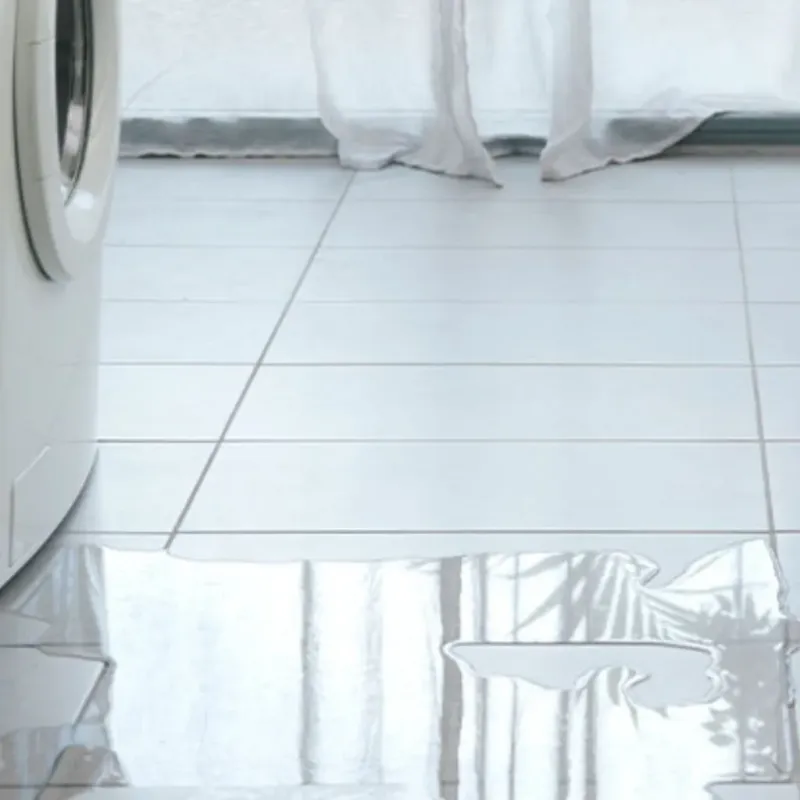 Appliance Leak Cleanup in Kahuku, HI