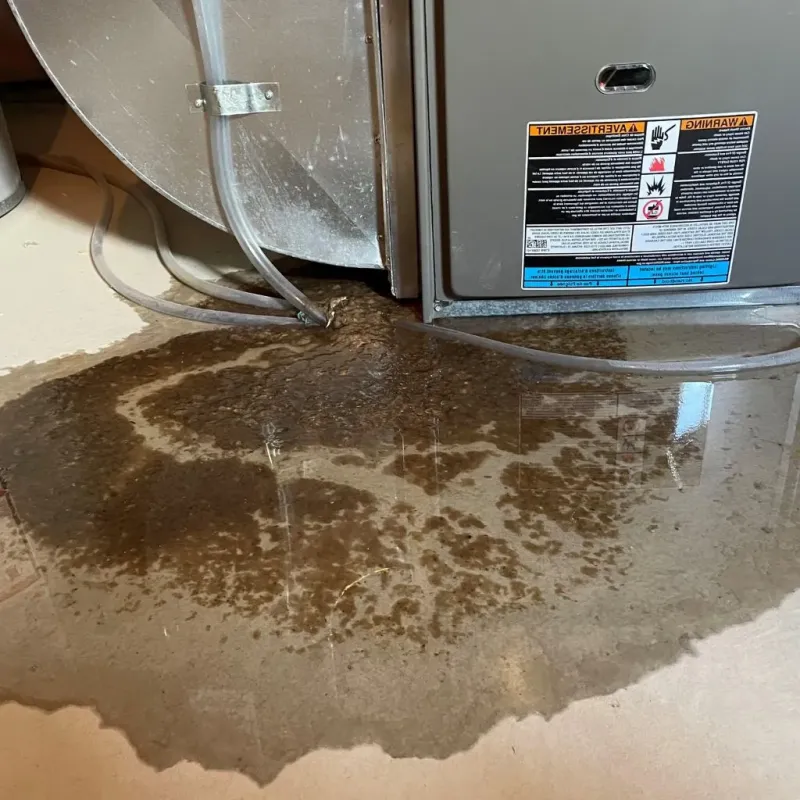 Pipe Burst and Leak Restoration in Kahuku, HI